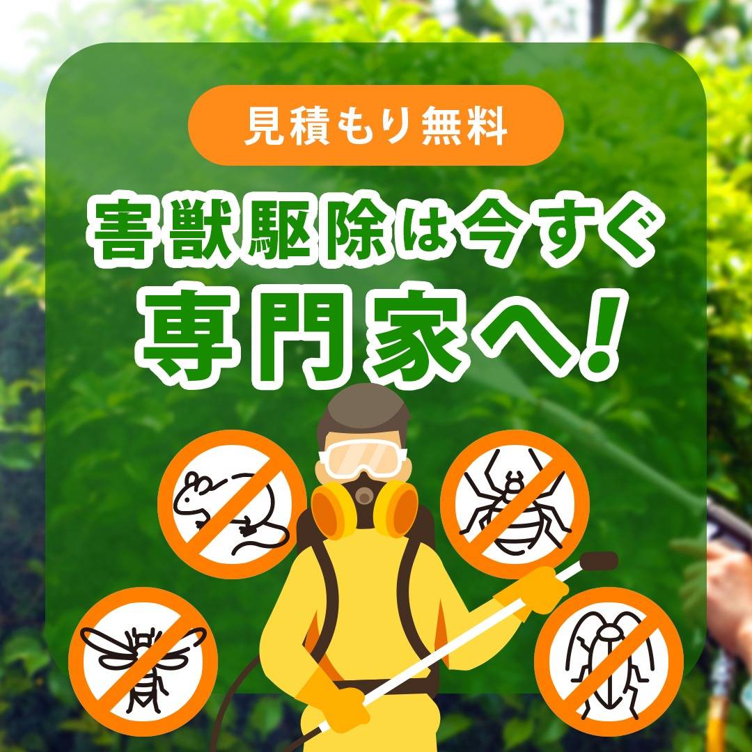 popup_banner